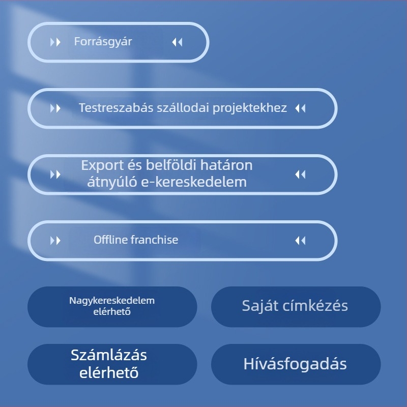 Forgó törölközőtartó 304 rozsdamentes acélból, dupla réteg, fürdőszobai hardver