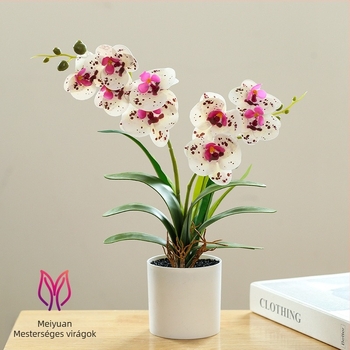 Phalaenopsis bonsaj mesterséges selyem virágokkal beltéri dekorációhoz
