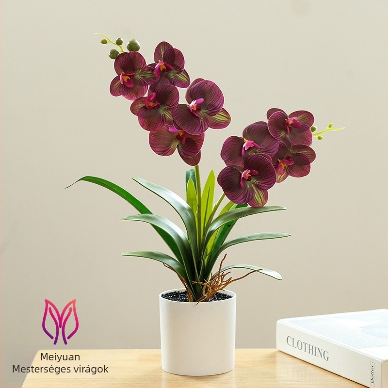 Phalaenopsis bonsaj mesterséges selyem virágokkal beltéri dekorációhoz