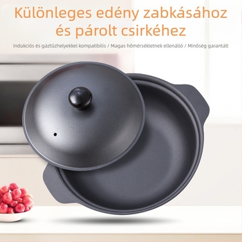 Viewpoint öntöttvas edény kantoni rizshez és braised csirkés rizshez, tapadásmentes belső, kapacitás 2,1–3 L
