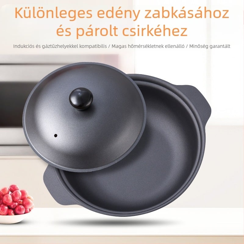 Viewpoint öntöttvas edény kantoni rizshez és braised csirkés rizshez, tapadásmentes belső, kapacitás 2,1–3 L