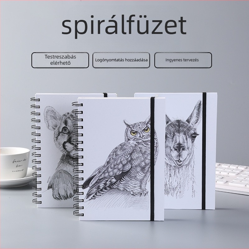 Spirálfüzet fényes kemény borítóval, szabad oldalas, rajzfilmszerű diák stílus