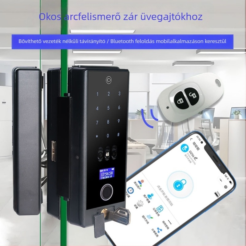Keret nélküli üvegajtó: okos arcfelismerő zár kulccsal – elektronikus zár egy- vagy kétszárnyú ajtókhoz