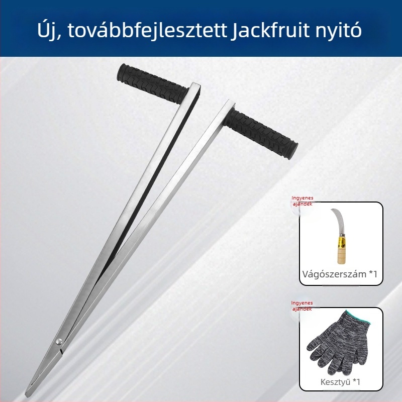 Nagy vastag jackfruit magkivágó eszköz rozsdamentes acél pengével a mag kiemeléséhez és felosztásához
