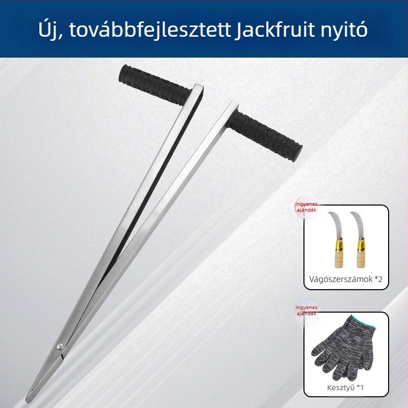 Nagy vastag jackfruit magkivágó eszköz rozsdamentes acél pengével a mag kiemeléséhez és felosztásához