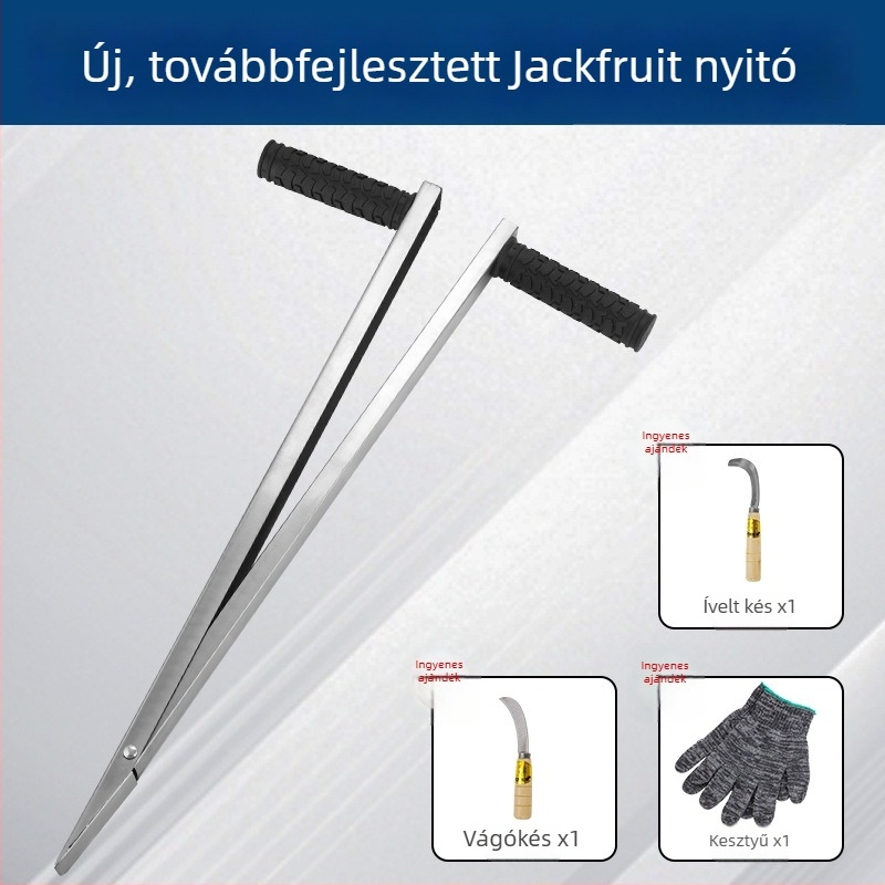 Nagy vastag jackfruit magkivágó eszköz rozsdamentes acél pengével a mag kiemeléséhez és felosztásához