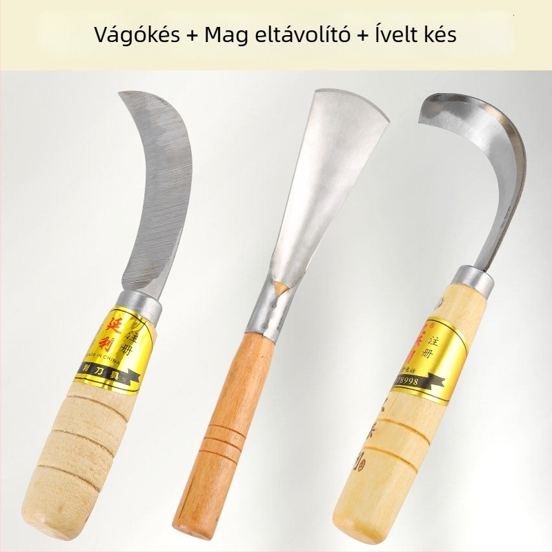 Nagy vastag jackfruit magkivágó eszköz rozsdamentes acél pengével a mag kiemeléséhez és felosztásához