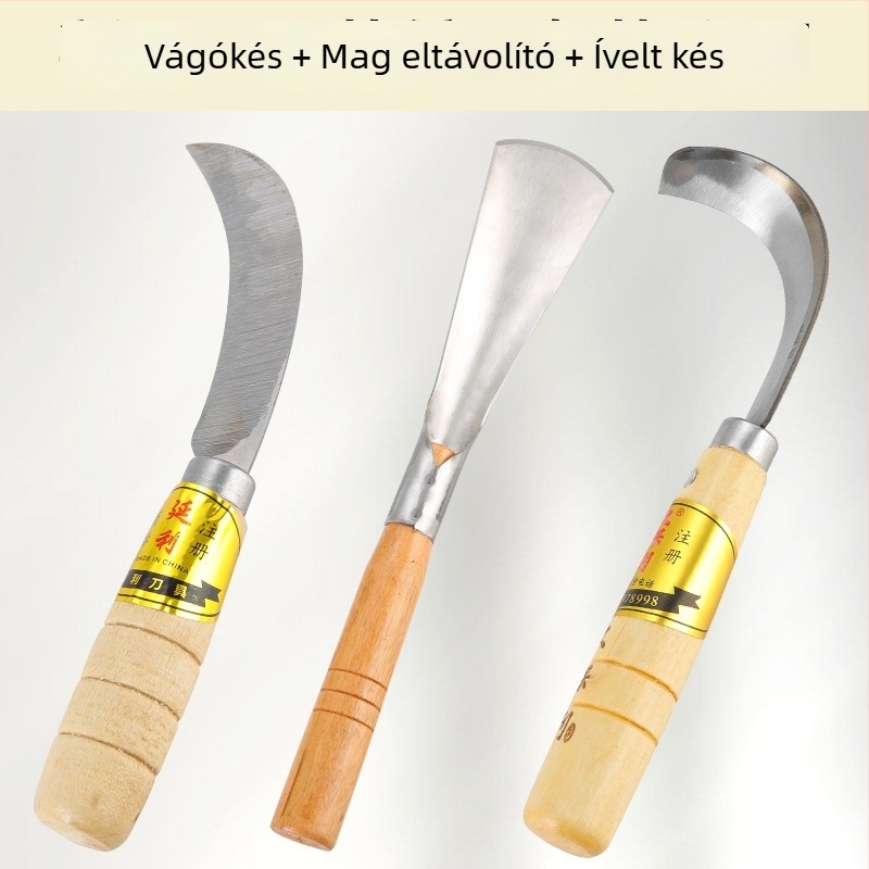 Nagy vastag jackfruit magkivágó eszköz rozsdamentes acél pengével a mag kiemeléséhez és felosztásához