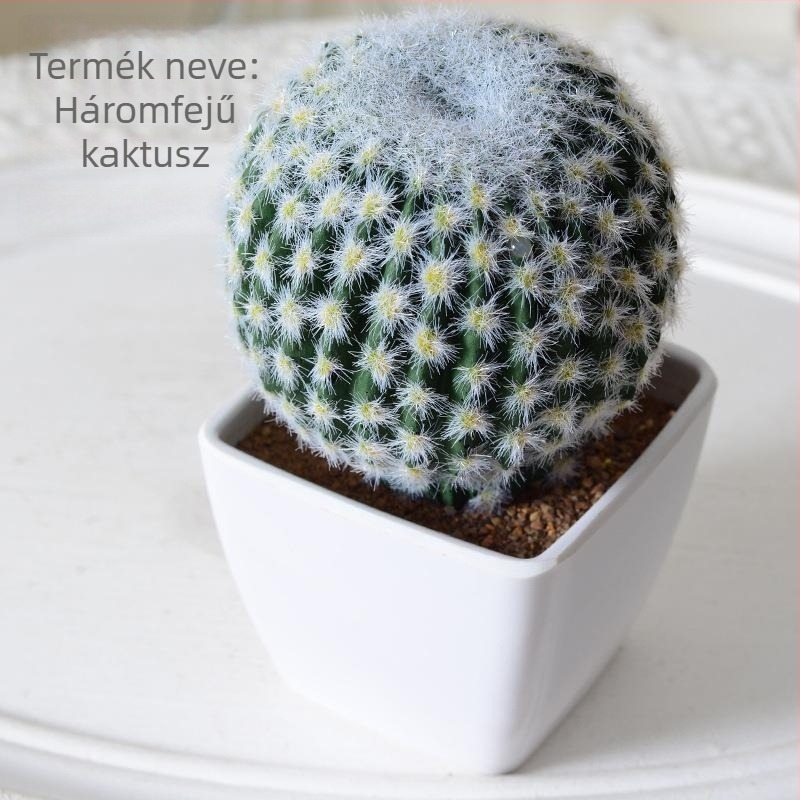 Mesterséges mini szukkulens kaktusz bonsai cserepben