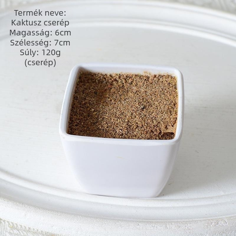Mesterséges mini szukkulens kaktusz bonsai cserepben
