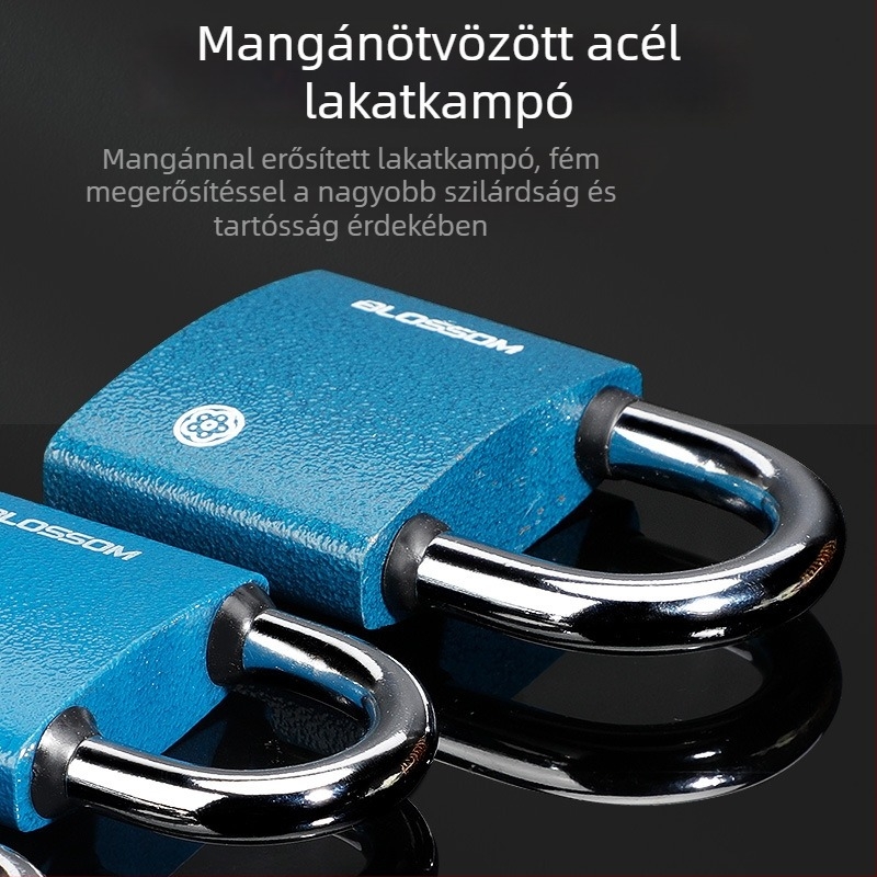 Plum Blossom lakat rézmagú cilinderrel, kék színű, vízálló és rozsdamentes, kültéri vas zár szekrényekhez és raktárakhoz