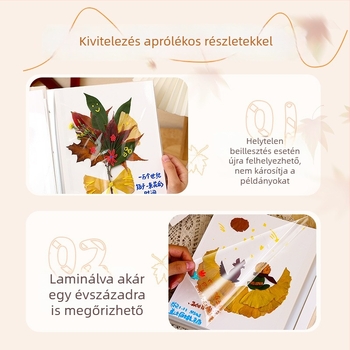 Laminált öntapadós növényi mintákat gyűjtő album: levelek, szárított és préselt virágok; tárolás és megőrzés, kreatív fotóalbum