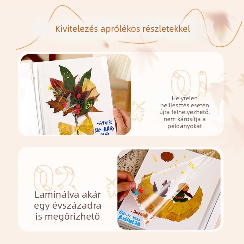 Laminált öntapadós növényi mintákat gyűjtő album: levelek, szárított és préselt virágok; tárolás és megőrzés, kreatív fotóalbum