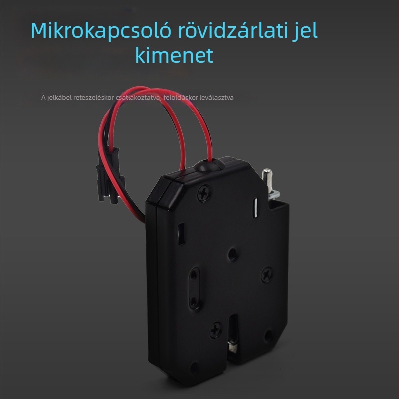 Elektronikus zár tárolószekrényekhez, szupermarketekhez, expressz tárolókhoz és vending gépekhez