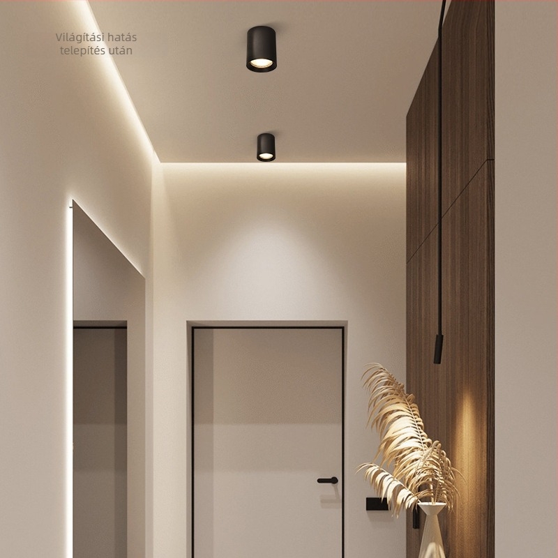 E27 kör alakú felületszerelt downlight, 4–6 hüvelyk, retro kivitelű ház és lámpabúra a mennyezetre vagy lánccal függesztett