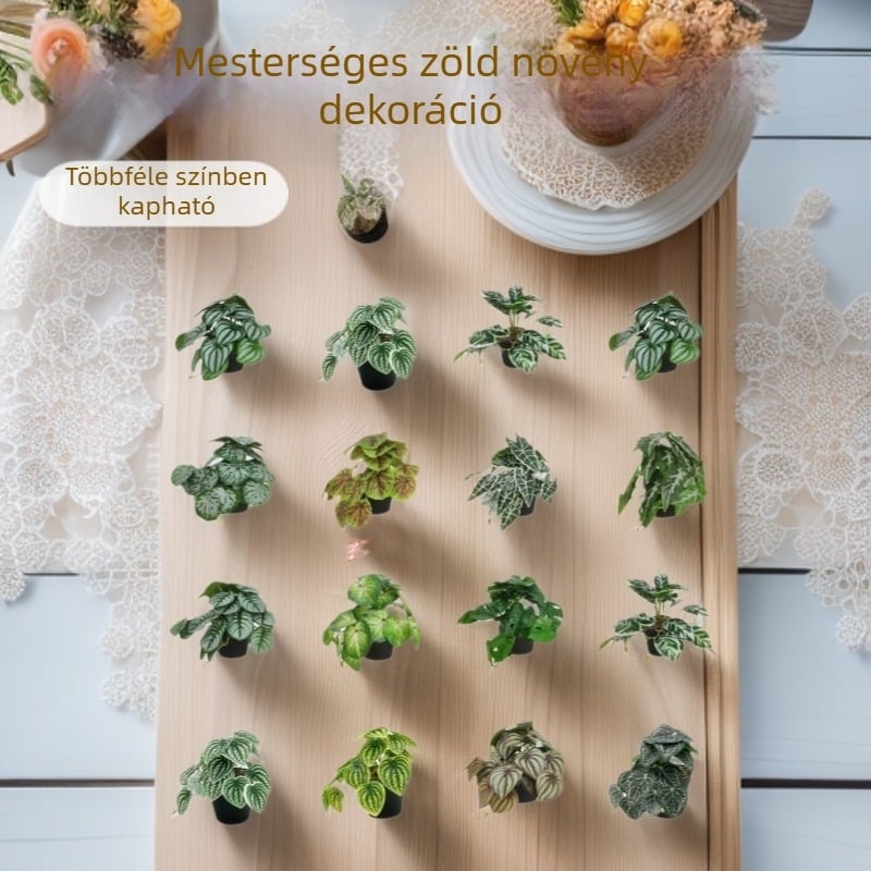 Mű zöld növény függőkosárban Monstera-szerű levelekkel és dekoratív lombbal