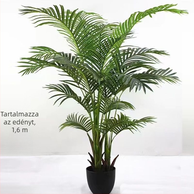 Nordic stílusú mű Monstera növény, beltéri cserepes növény, turtle-back változat, zöld bonsai jellegű növény