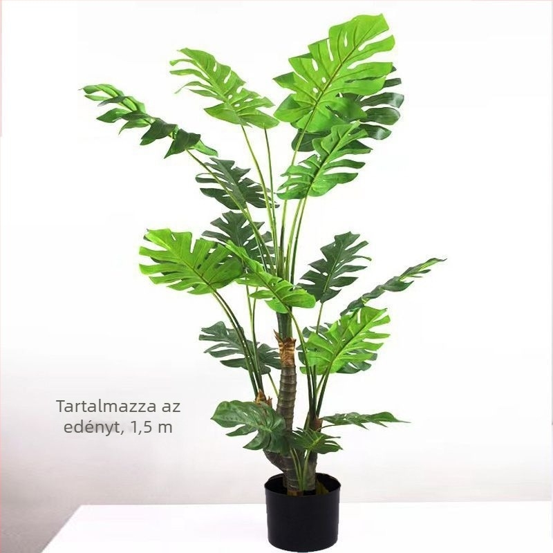 Nordic stílusú mű Monstera növény, beltéri cserepes növény, turtle-back változat, zöld bonsai jellegű növény