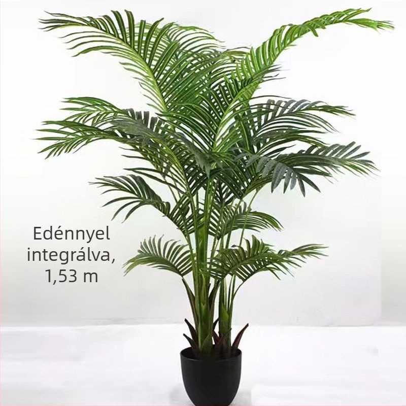 Nordic stílusú mű Monstera növény, beltéri cserepes növény, turtle-back változat, zöld bonsai jellegű növény