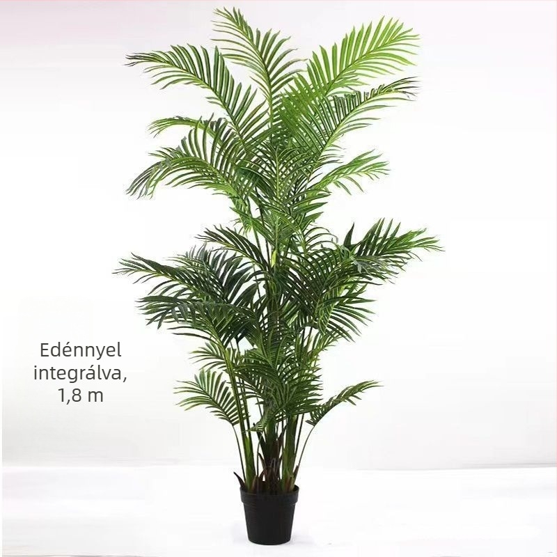 Nordic stílusú mű Monstera növény, beltéri cserepes növény, turtle-back változat, zöld bonsai jellegű növény