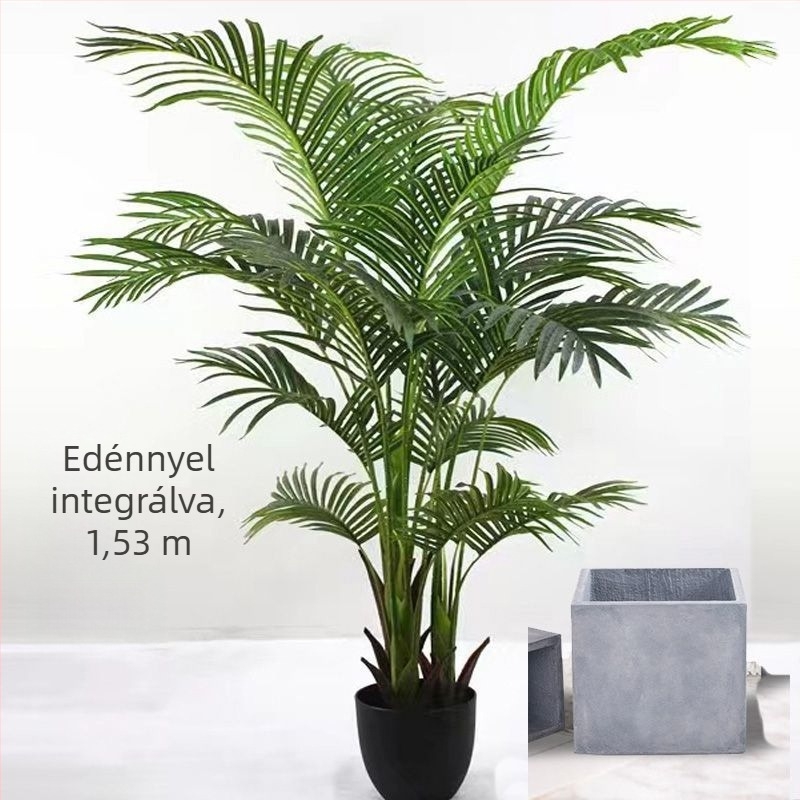 Nordic stílusú mű Monstera növény, beltéri cserepes növény, turtle-back változat, zöld bonsai jellegű növény