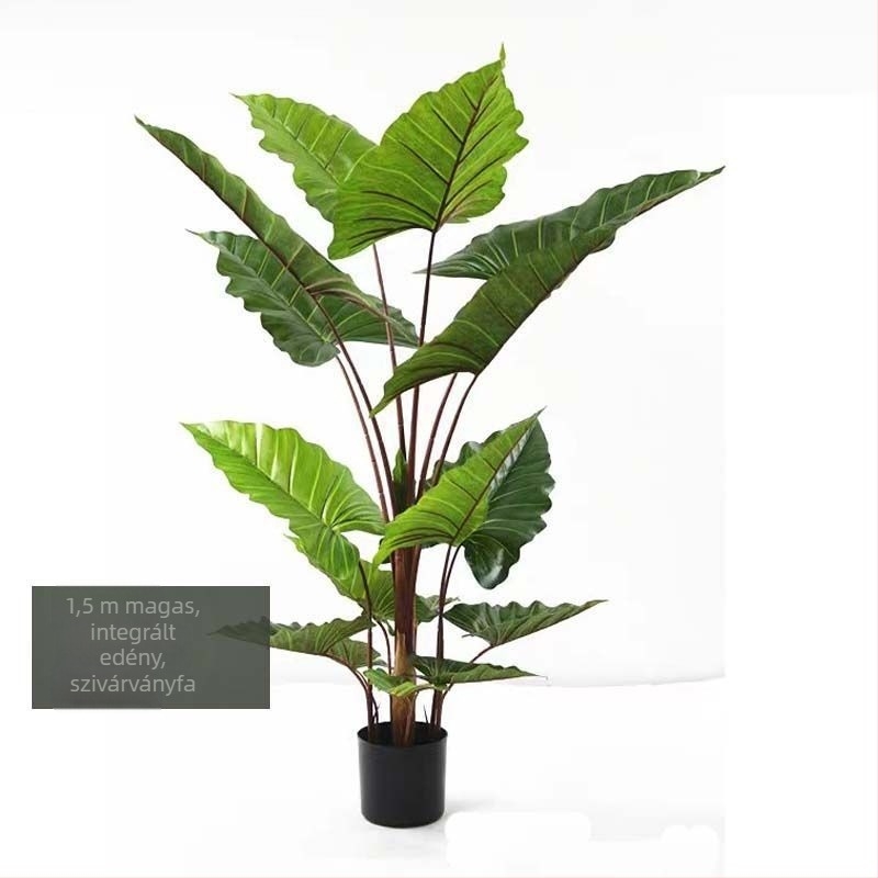 Nordic stílusú mű Monstera növény, beltéri cserepes növény, turtle-back változat, zöld bonsai jellegű növény