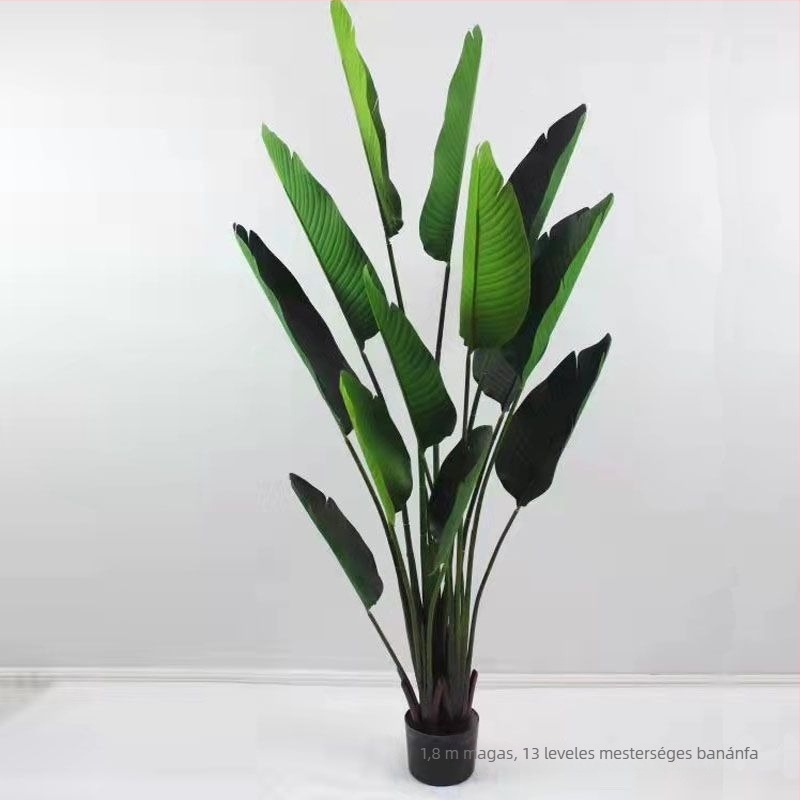 Nordic stílusú mű Monstera növény, beltéri cserepes növény, turtle-back változat, zöld bonsai jellegű növény