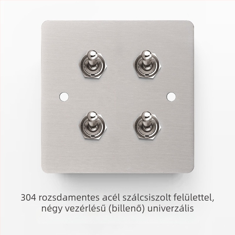 Rozsdamentes acél csiszolt felületű kapcsoló- és aljzatkészlet retró panellel, ipari stílusú karos kapcsolóval