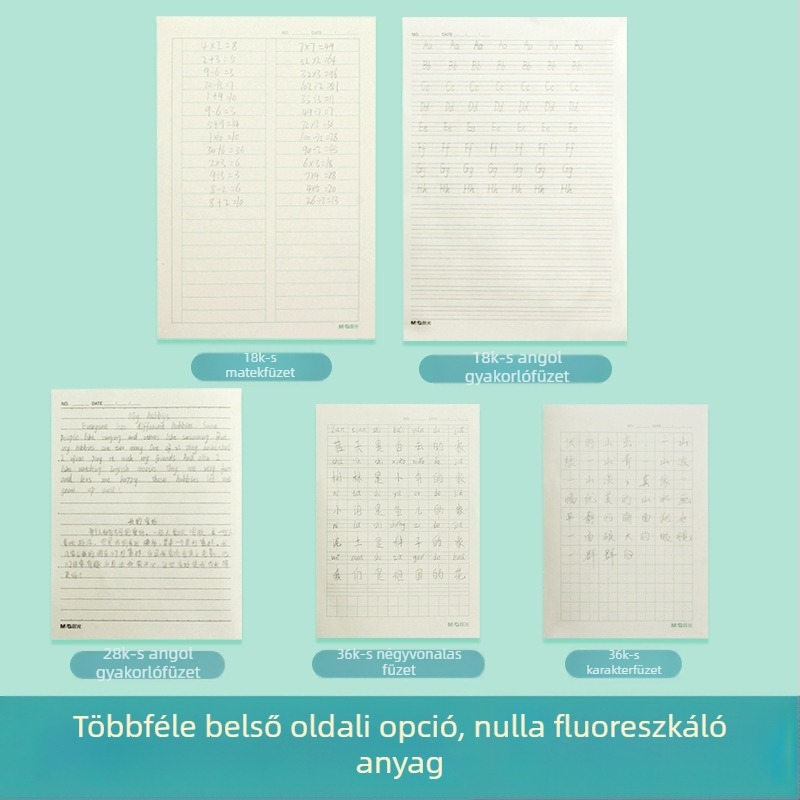 Diákgyakorló füzet négy vonalas négyzethálós mintával, angol gyakorlás, aritmetika és szókincs