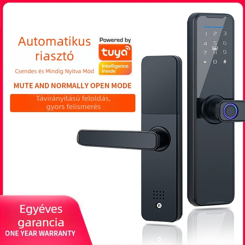 Ujjlenyomat-zár fa ajtókhoz — otthon és beltéri ajtók, szállodai apartmanok; jelszavas zár; graffiti-stílusú egyérintéses intelligens zár az irodának