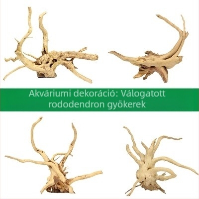 Akvarisztikai tájépítéshez készlet driftwood, azália gyökér, moha és vízi növények