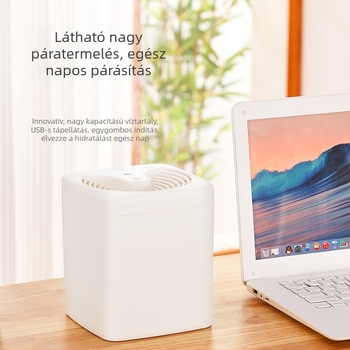 Új modell légnedvesítő kettős permetezéssel és nagy köd kimenettel, otthoni használatra, asztali USB párásító