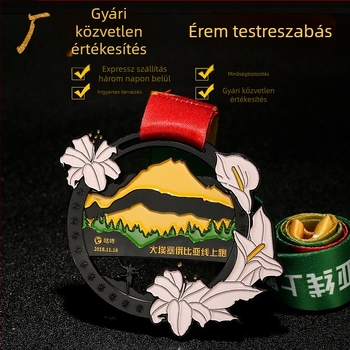 Személyre szabott érmek vállalati és iskolai maraton eseményekhez, arany, ezüst és bronz díjérmek, dizájn verseny érmek