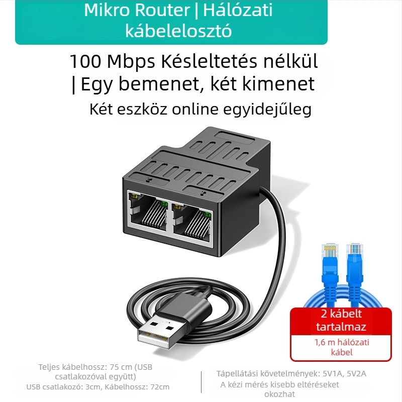 Darwen 1–2 hálózati osztóadapter egyidejű internet-hozzáféréssel, gigabites