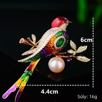 Kínai stílusú zománcbross, multicolor madár motívum, ruhára való kiegészítő