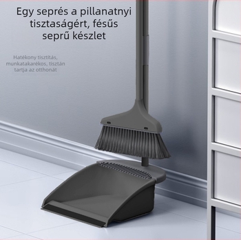 Háztartási seprű és lapátkészlet – fej, amely nem tapad a hajhoz