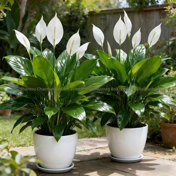 3D-nyomtatott mű zöld növények és vörös anthurium, asztali dekor otthonhoz