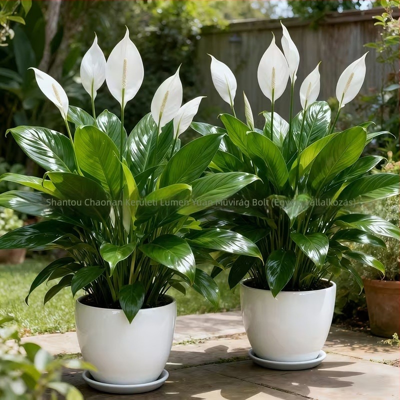 3D-nyomtatott mű zöld növények és vörös anthurium, asztali dekor otthonhoz