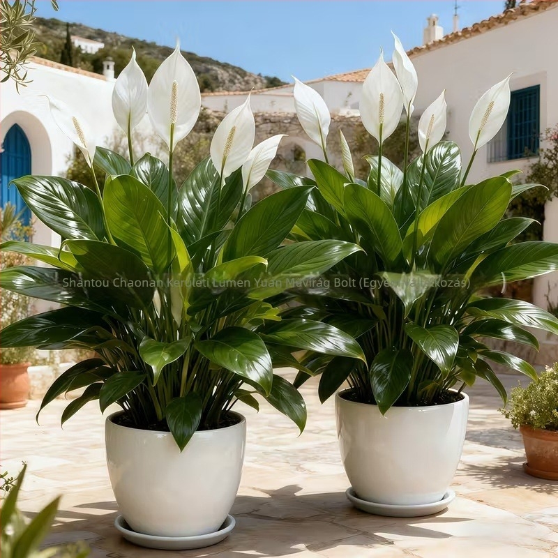 3D-nyomtatott mű zöld növények és vörös anthurium, asztali dekor otthonhoz