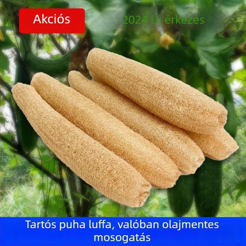 Természetes luffa mosogató eszköz – mosogatószivacs, olajat felszívó konyhai ecset, dörzsölő pad, fazék- vagy lábas keféje