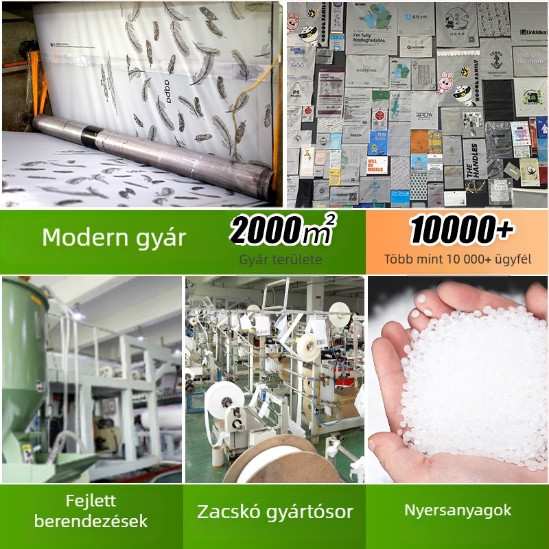 Különösen kicsi, átlátszó tasak 4×6 cm, önzáró, ékszerek és fém alkatrészek tárolására, műanyag záró taska