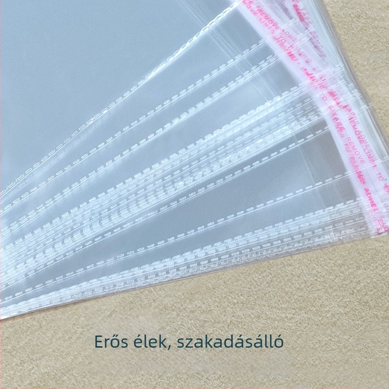 Átlátszó tároló táska művészeti alkotásokhoz: por- és nedvességálló; vázlatok és akvarellek számára; méretek A3/A4/4K/8K