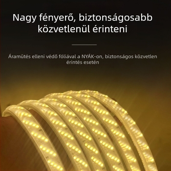 220V kültéri vízálló LED-szalag, rendkívül fényes, 100 m hosszú, egyszínű, 120° fénycsóva-szög, mennyezet és alagút világításra