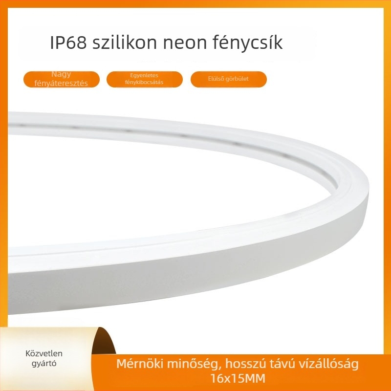 IP68 szilikon neon LED-szalag, 24V, vízálló RGB világítás medencékhez