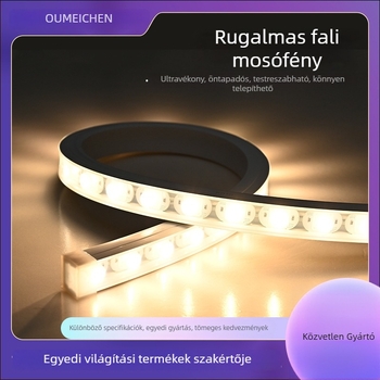 Rugalmas LED falmosó világítás 24V-hoz, épületvilágításhoz, kültéri vízálló LED szalag, 2835 LED-ek, 30 LED, 30° fénysugár, távirányító