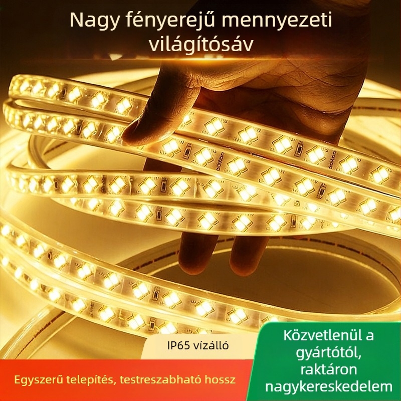 Személyre szabott 220V-os beltéri mennyezeti LED-szalag - 5730, háromszínű, kétsoros, rugalmas, vízálló