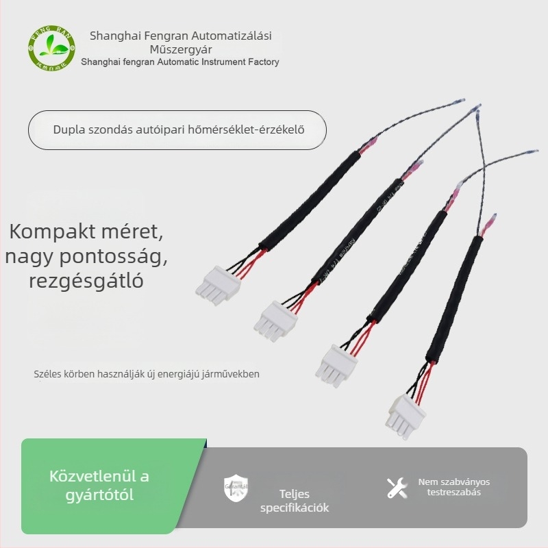 T29 RTD hőmérséklet-szonda EV motorokhoz, két végű, merülő telepítés