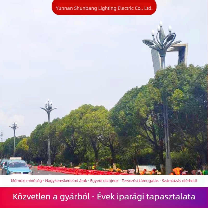 Magnólia lámpa útvilágításra — 10 m tájvilágítás, Magnólia utcai lámpa 8 m, 12 m magas oszlopú lámpa közterületre