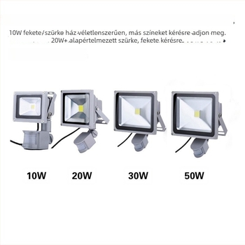 Mozgásérzékelős LED reflektor kültéri használatra, 12–48V, falakra, udvarokra és alagutakra, 10–100W