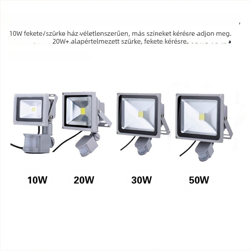 Mozgásérzékelős LED reflektor kültéri használatra, 12–48V, falakra, udvarokra és alagutakra, 10–100W